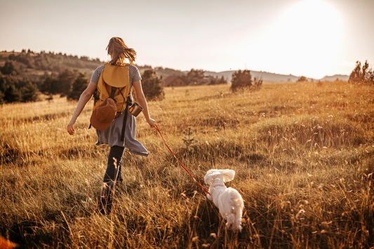 How to Reconnect With Your Purpose When You Feel Lost