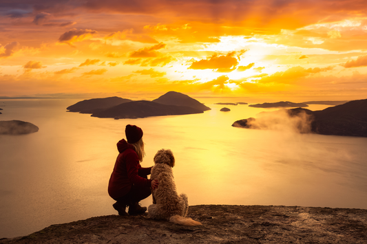 The Science Behind Trusting the Timing of Your Life